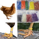 dây thít nhựa nhiều màu