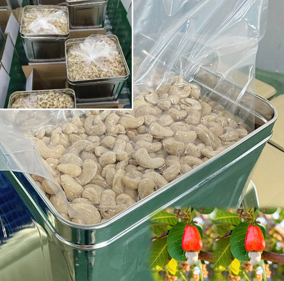 thung-thiec-dung-hat-dieu-ca-phe-512x512