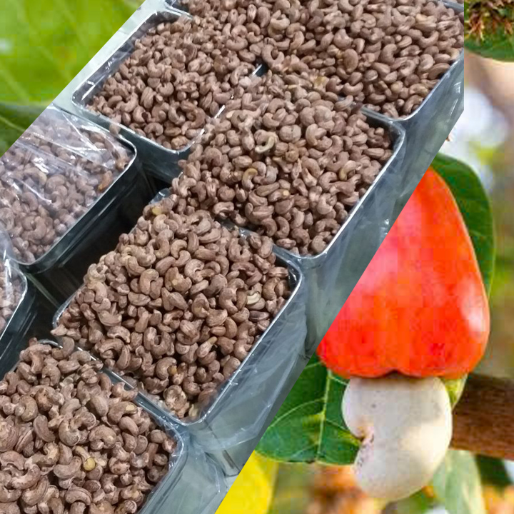 thùng thiếc đựng hạt điều